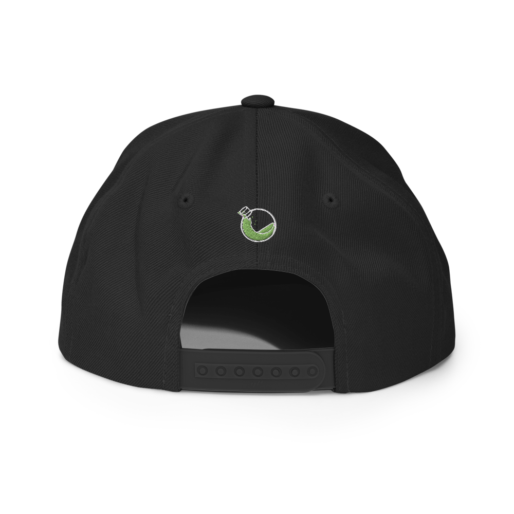 Greenelixr Snapback